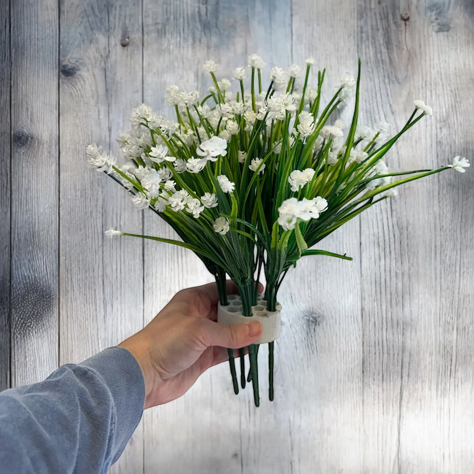 White Gypsophilia (Baby’s Breath) Plant